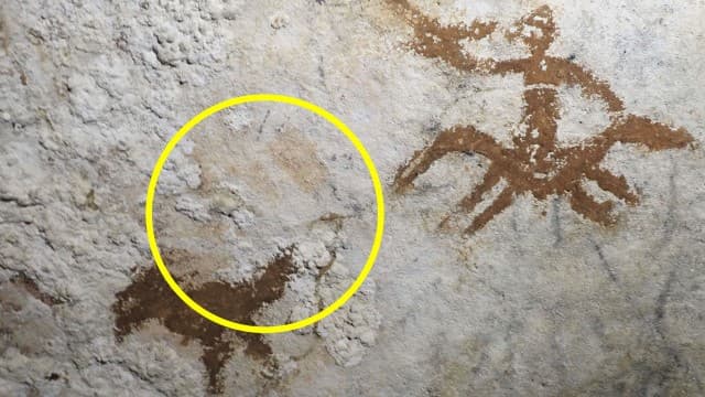 インドネシアで見つかった世界最古の壁画