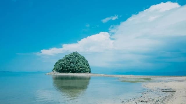 <ruby ><rb><span class="unknown" word="天草">天草</span></rb><rt>あまくさ</rt></ruby><ruby ><rb><span class="jlpt-n4" word="海岸">海岸</span></rb><rt>かいがん</rt></ruby> <span class="" word="-">-</span> <ruby ><rb><span class="jlpt-n3" word="日本">日本</span></rb><rt>にほん</rt></ruby><span class="" word="で">で</span><ruby ><rb><span class="" word="最">最</span></rb><rt>もっと</rt></ruby><span class="" word="も">も</span><ruby ><rb><span class="" word="美">美</span></rb><rt>うつく</rt></ruby><span class="" word="し">し</span><span class="" word="い">い</span><ruby ><rb><span class="" word="海">海</span></rb><rt>うみ</rt></ruby><span class="" word="の">の</span><ruby ><rb><span class="" word="一">一</span></rb><rt>ひと</rt></ruby><span class="" word="つ">つ</span>