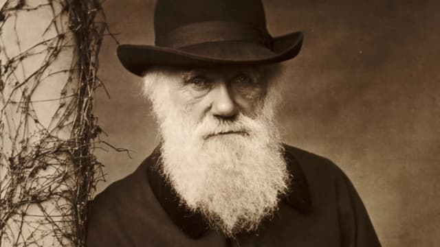 <span class="" word="チ">チ</span><span class="" word="ャ">ャ</span><span class="" word="ー">ー</span><span class="" word="ル">ル</span><span class="" word="ズ">ズ</span><span class="" word="・">・</span><span class="" word="ダ">ダ</span><span class="" word="ー">ー</span><span class="" word="ウ">ウ</span><span class="" word="ィ">ィ</span><span class="" word="ン">ン</span><span class="" word="と">と</span><ruby><rb><span class="jlpt-n1" word="進化">進化</span></rb><rt>しんか</rt></ruby><span class="" word="の">の</span><span class="" word="は">は</span><span class="" word="な">な</span><span class="" word="し">し</span>