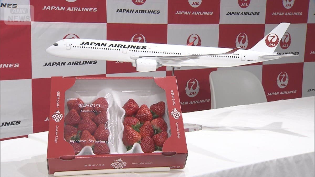 JALグループ、日本の農産物を世界に広げるために協力