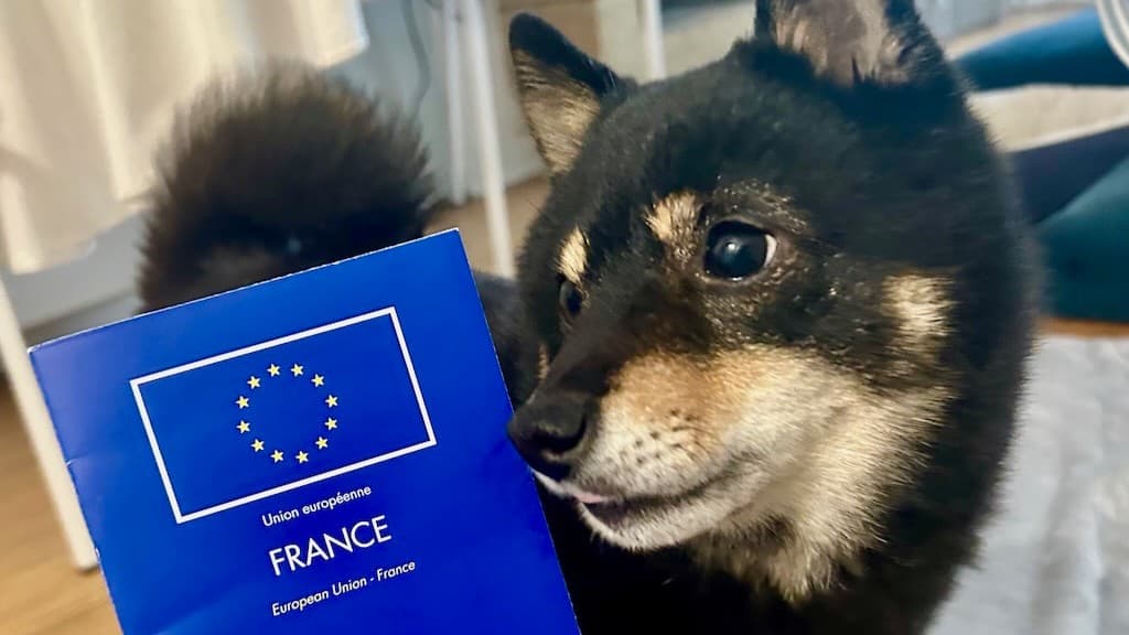 動物福祉先進国フランスにおけるペット飼育放棄の現状と制度の矛盾
