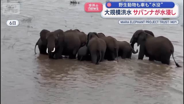 <span class="" word="サ">サ</span><span class="" word="バ">バ</span><span class="" word="ン">ン</span><span class="" word="ナ">ナ</span><span class="" word="に">に</span><ruby ><rb><span class="" word="大">大</span></rb><rt>おお</rt></ruby><span class="" word="き">き</span><span class="" word="い">い</span><ruby ><rb><span class="jlpt-n5" word="雨">雨</span></rb><rt>あめ</rt></ruby><span class="" word="　">　</span><span class="jlpt-n5" word="どう">どう</span><span class="" word="ぶ">ぶ</span><span class="" word="つ">つ</span><span class="" word="と">と</span><ruby ><rb><span class="jlpt-n5" word="人">人</span></rb><rt>ひと</rt></ruby><span class="" word="が">が</span><span class="" word="こ">こ</span><span class="" word="ま">ま</span><span class="" word="り">り</span><span class="" word="ま">ま</span><span class="" word="す">す</span>