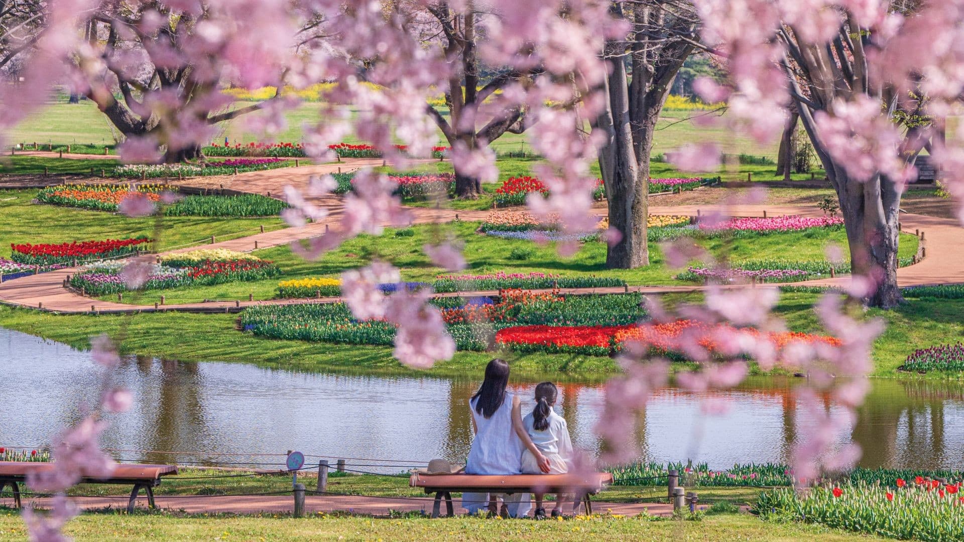 3月～5月開催・昭和記念公園フラワーフェスティバル