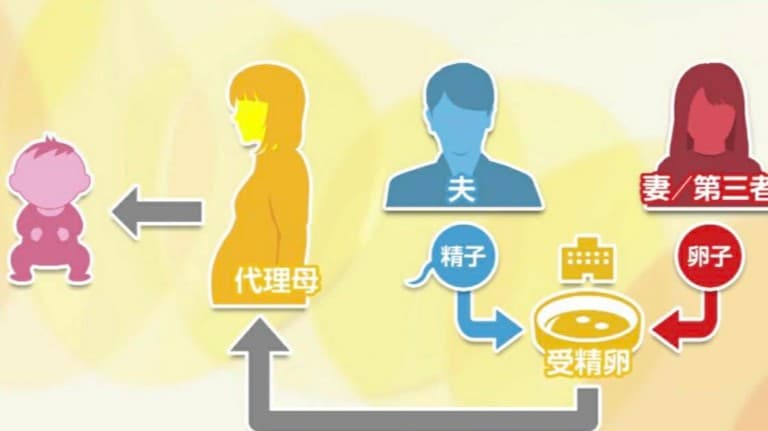 代理出産と日本の現状：医療技術の進展とともに生じる新たな課題