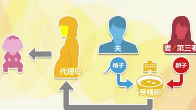 <ruby ><rb><span class="jlpt-n3" word="代理">代理</span><span class="jlpt-n1" word="出産">出産</span></rb><rt>だいりしゅっさん</rt></ruby><span class="" word="と">と</span><ruby ><rb><span class="jlpt-n3" word="日本">日本</span></rb><rt>にほん</rt></ruby><span class="" word="の">の</span><ruby ><rb><span class="jlpt-n3" word="現状">現状</span></rb><rt>げんじょう</rt></ruby><span class="" word="：">：</span><ruby ><rb><span class="jlpt-n3" word="医療">医療</span><span class="jlpt-n4" word="技術">技術</span></rb><rt>いりょうぎじゅつ</rt></ruby><span class="" word="の">の</span><ruby ><rb><span class="jlpt-n1" word="進展">進展</span></rb><rt>しんてん</rt></ruby><span class="" word="と">と</span><span class="" word="と">と</span><span class="" word="も">も</span><span class="" word="に">に</span><ruby ><rb><span class="" word="生">生</span></rb><rt>しょう</rt></ruby><span class="" word="じ">じ</span><span class="" word="る">る</span><ruby ><rb><span class="" word="新">新</span></rb><rt>あたら</rt></ruby><span class="" word="た">た</span><span class="" word="な">な</span><ruby ><rb><span class="jlpt-n1" word="課題">課題</span></rb><rt>かだい</rt></ruby>