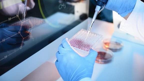 幹細胞の治療で患者が亡くなり、病院が止められました