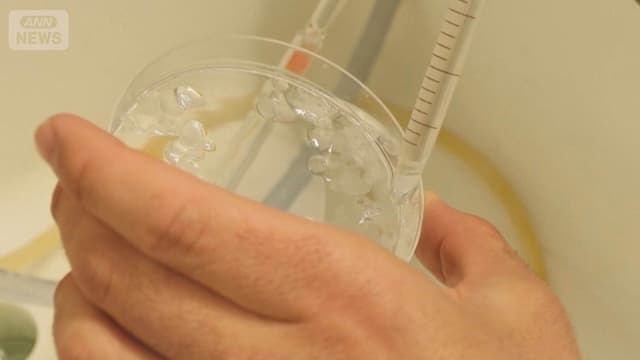 <ruby><rb><span class="jlpt-n5" word="魚">魚</span></rb><rt>さかな</rt></ruby><span class="" word="の">の</span><span class="" word="う">う</span><span class="" word="ろ">ろ</span><span class="" word="こ">こ</span><span class="" word="で">で</span><ruby><rb><span class="" word="作">作</span></rb><rt>つく</rt></ruby><span class="" word="っ">っ</span><span class="" word="た">た</span><ruby><rb><span class="" word="新">新</span></rb><rt>あたら</rt></ruby><span class="" word="し">し</span><span class="" word="い">い</span><ruby><rb><span class="jlpt-n5" word="目">目</span></rb><rt>め</rt></ruby><span class="" word="の">の</span><ruby><rb><span class="jlpt-n2" word="部品">部品</span></rb><rt>ぶひん</rt></ruby>