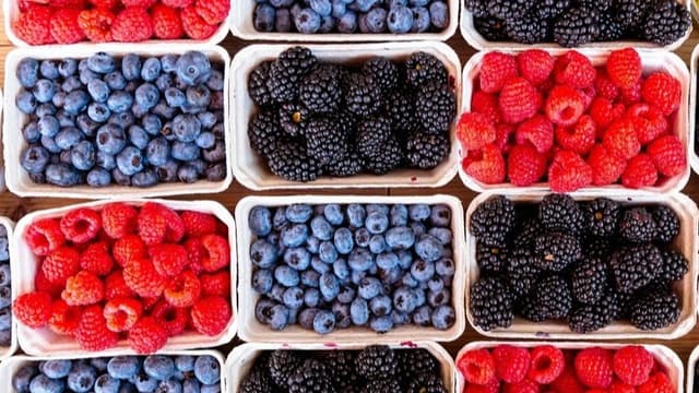 <ruby ><rb><span class="jlpt-n1" word="脳">脳</span></rb><rt>のう</rt></ruby><span class="" word="の">の</span><ruby ><rb><span class="unknown" word="老化">老化</span></rb><rt>ろうか</rt></ruby><span class="" word="を">を</span><ruby ><rb><span class="" word="遅">遅</span></rb><rt>おく</rt></ruby><span class="" word="ら">ら</span><span class="" word="せ">せ</span><span class="" word="る">る</span><ruby ><rb><span class="jlpt-n3" word="食事">食事</span></rb><rt>しょくじ</rt></ruby><span class="" word="「">「</span><span class="" word="マ">マ</span><span class="" word="イ">イ</span><span class="" word="ン">ン</span><span class="" word="ド">ド</span><ruby ><rb><span class="" word="食">食</span></rb><rt>しょく</rt></ruby><span class="" word="」">」</span><span class="" word="と">と</span><span class="" word="は">は</span>