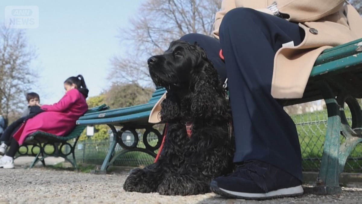 パリの市長選　犬のさんぽみちが大切