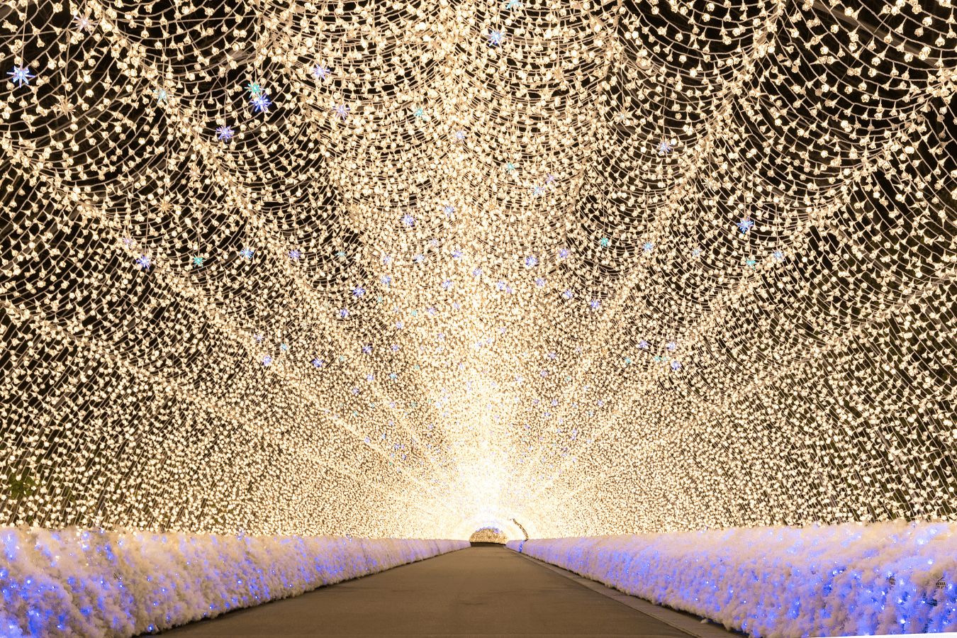 なばなの里　日本一のイルミネーションで幻想の世界へ！