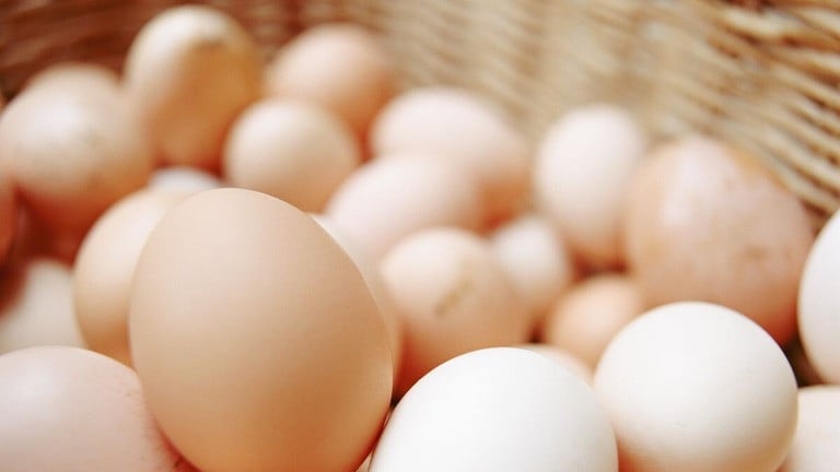 トレーラーから卵１０万個盗難　米国で品薄続く