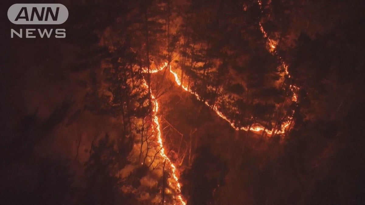世界遺産に火の手迫る　韓国でも山火事相次ぐ