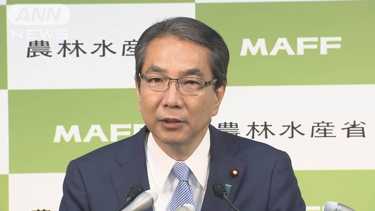 政府　備蓄米21万トン放出　来月下旬にも店頭並ぶ可能性