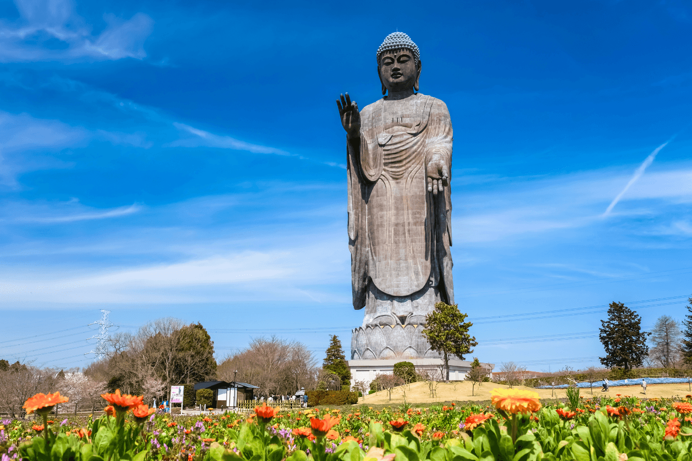 牛久大仏　世界最大級の大仏！