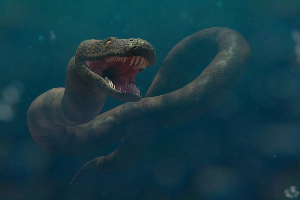 とても大きいヘビ「ティタノボア」は何を食べていましたか