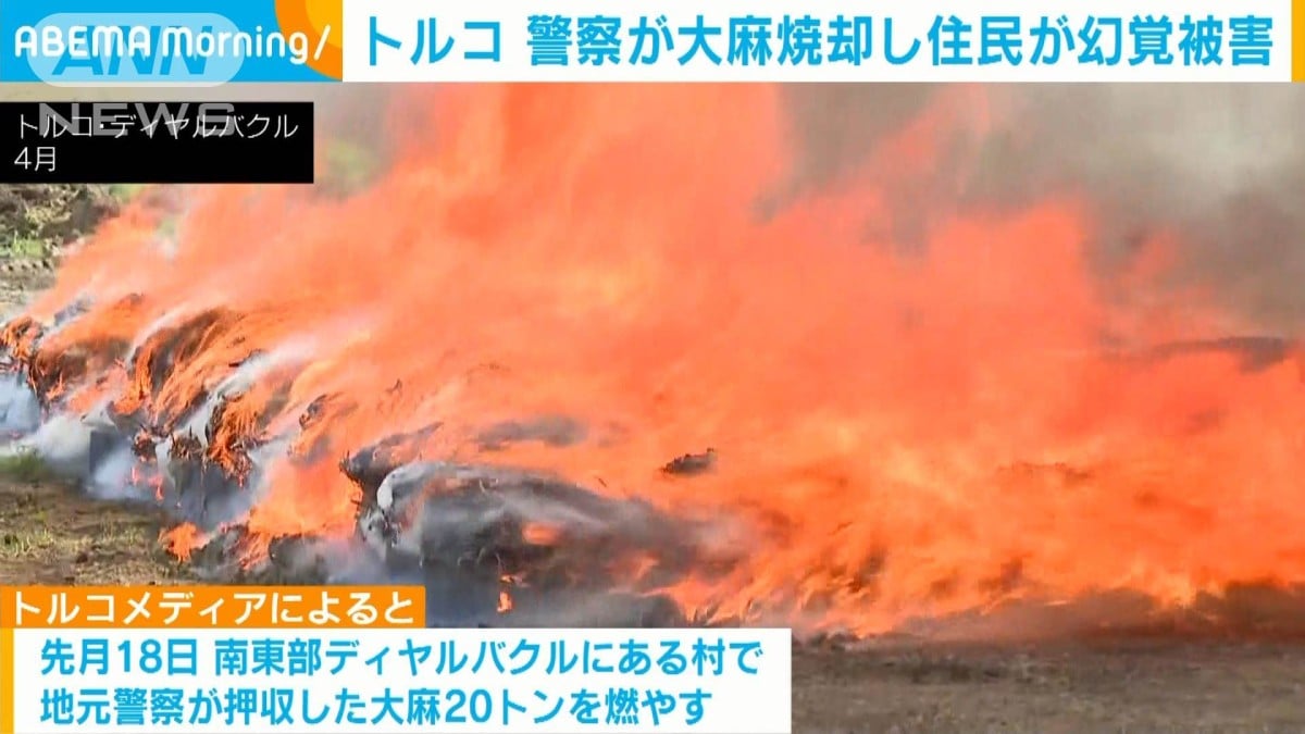 トルコの村で警察が大麻を燃やす