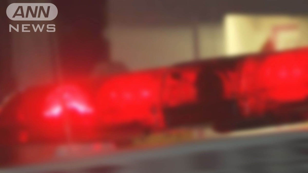 タイで お金を だましとった 男、日本に 帰る