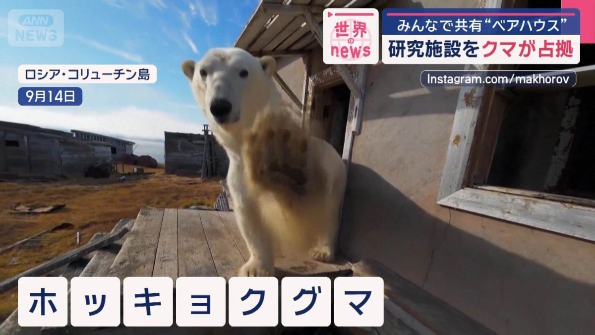 くまがいえにすんでいます