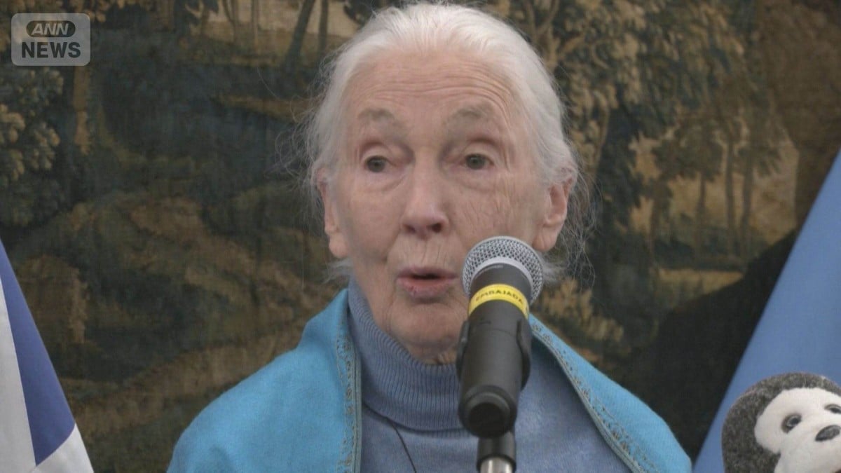 ジェーン・グドールさん なくなりました