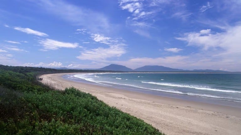 オーストラリアでサメが人をかむ