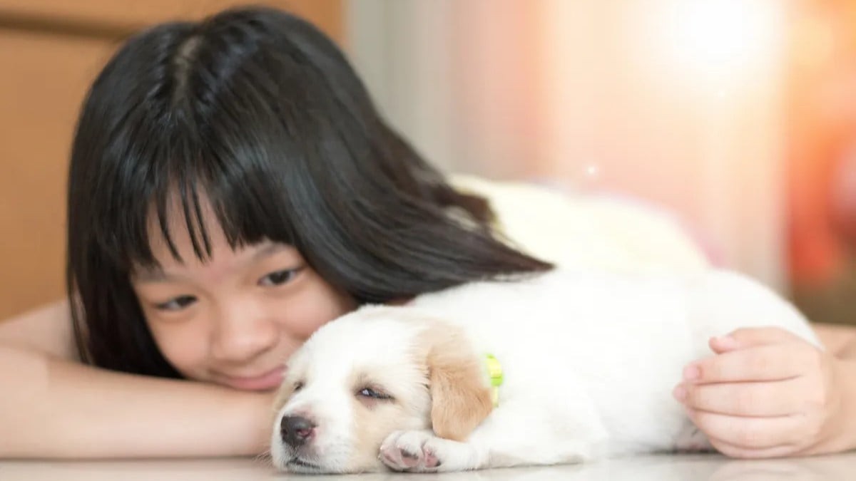 犬の口の細菌が人の気持ちをよくすることがわかった