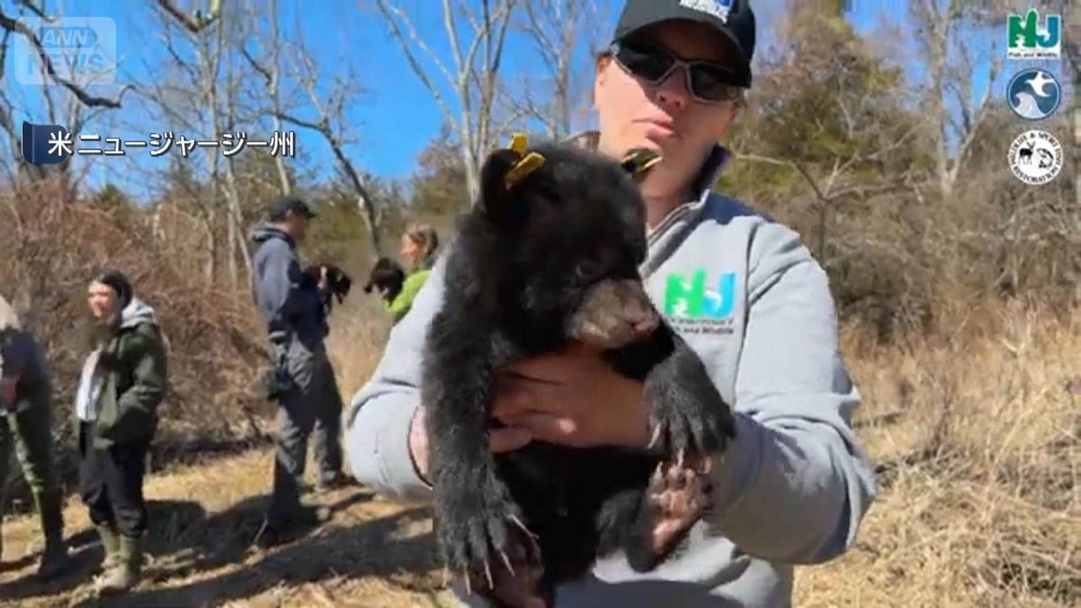アメリカ・ニュージャージー州でクマの狩りがはじまる