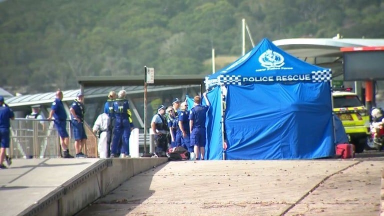 シドニーの海でサメの事故が続く　2人が重体、海岸が閉鎖