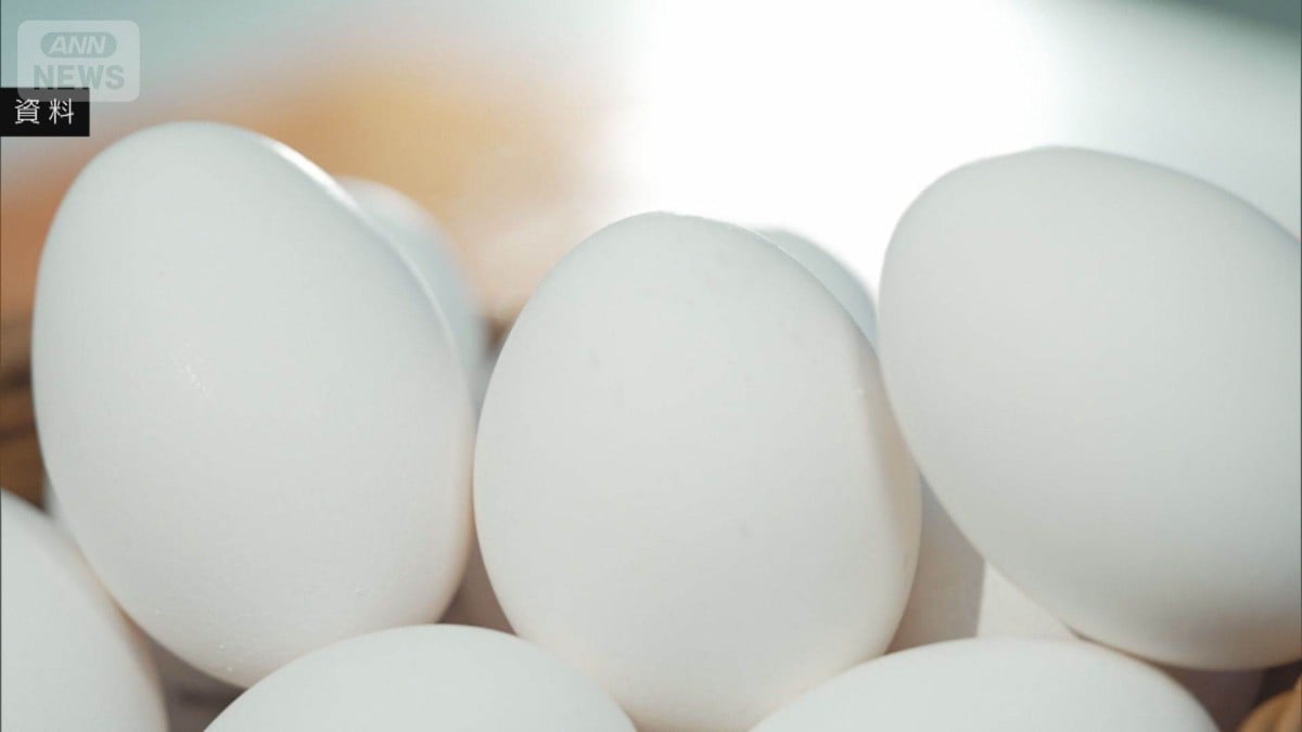 卵1パックの値段が306円に　6か月つづけて300円より高い