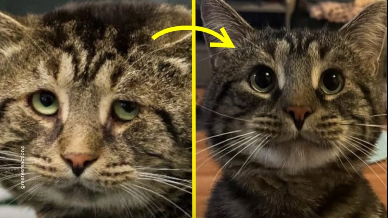 悲しみから喜びへ