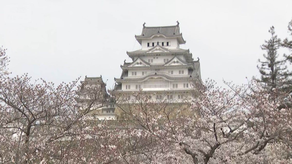 姫路城の入場料が変わりました