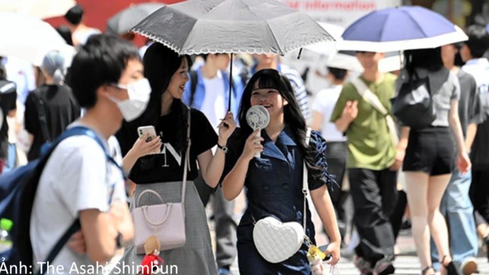今年の夏、日本はとてもあつくなります