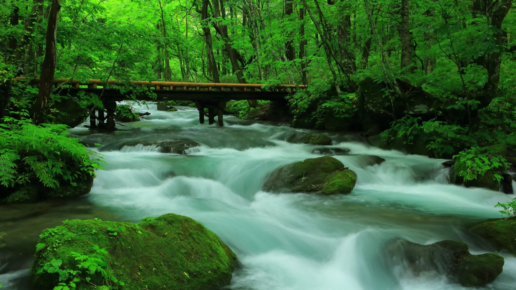 青森県十和田市   奥入瀬渓流の美しい自然と四季