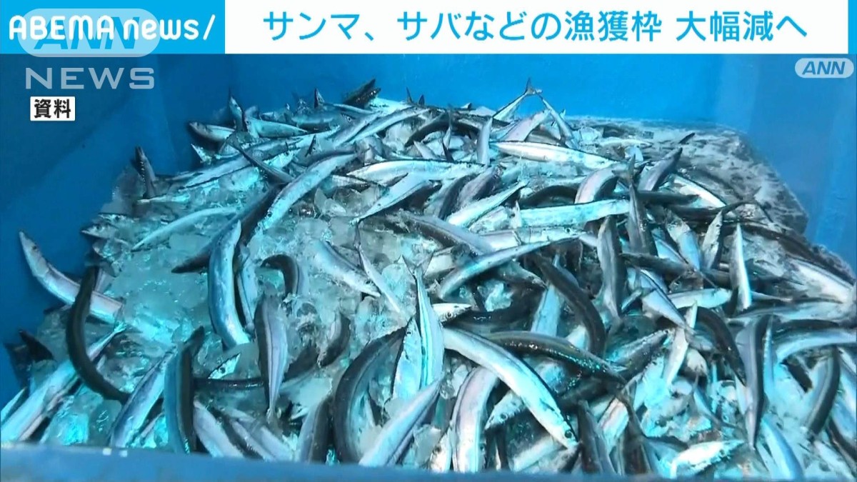 일본 신문