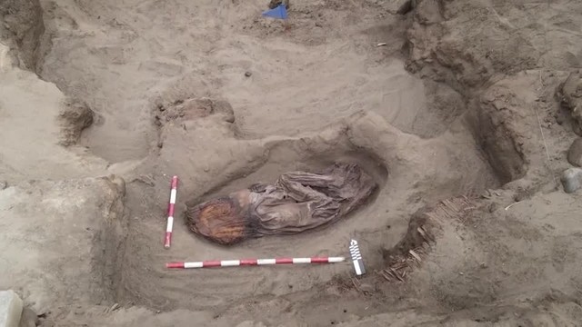 일본 신문