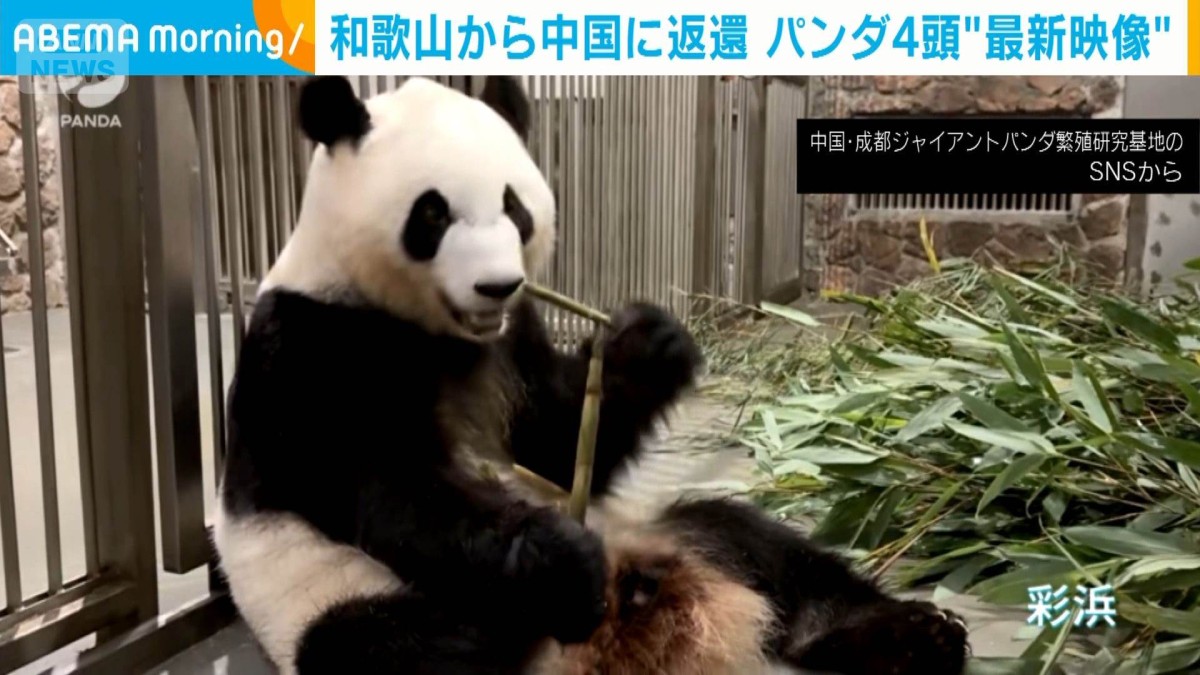 Japanese newspaper