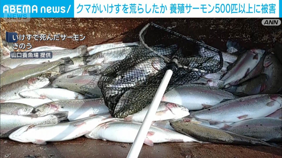 Todaii Japanese