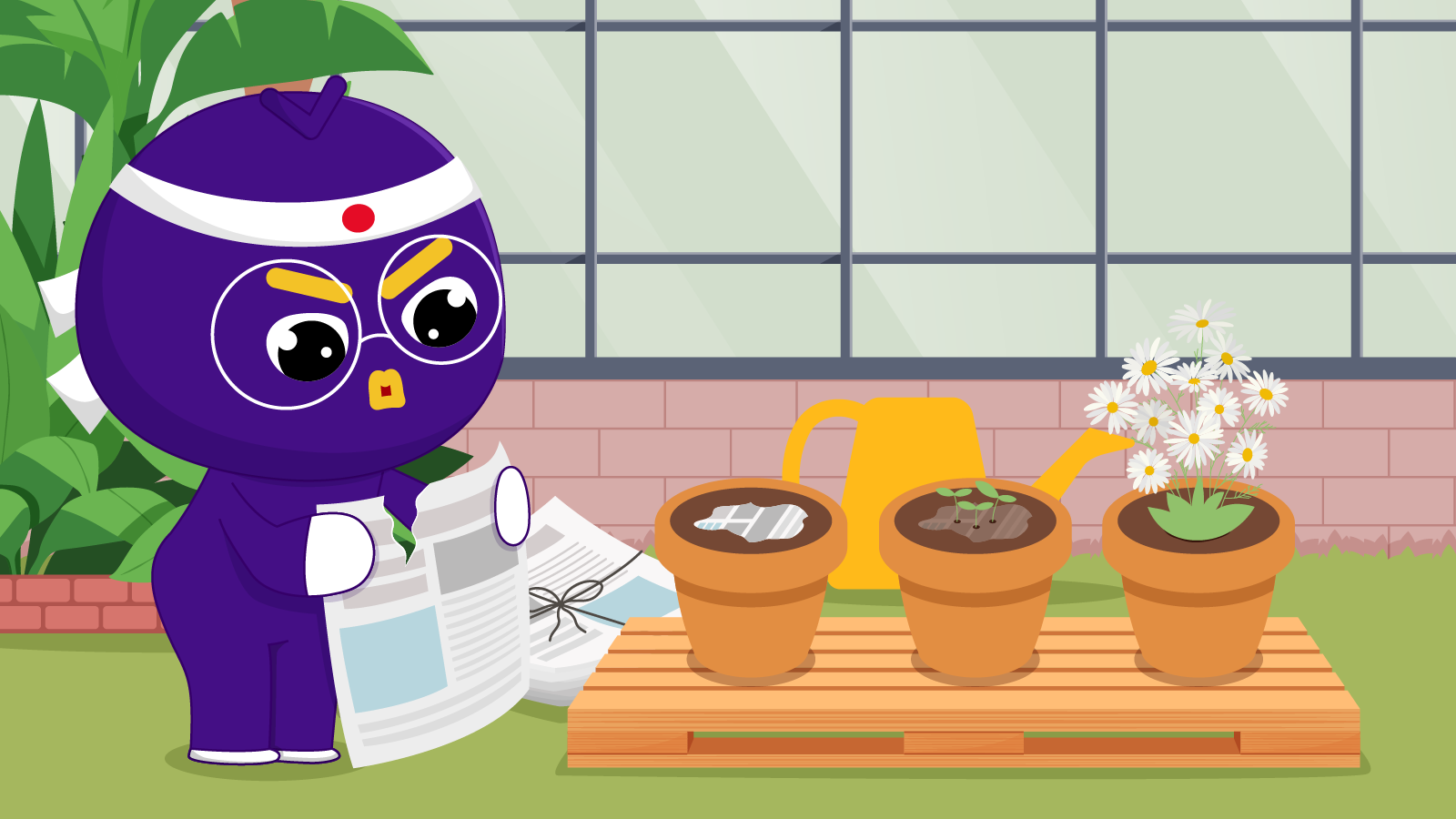 Todaii Japanese