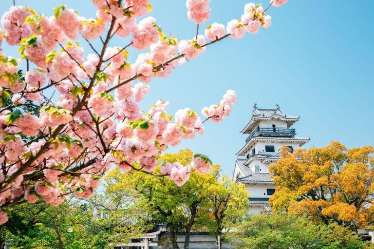 일본 신문