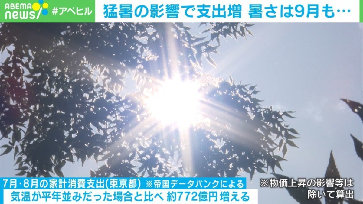 Japanese newspaper