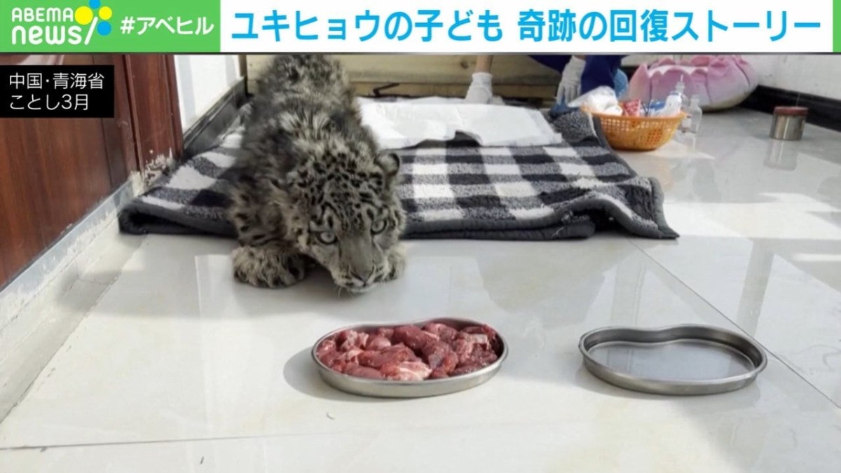 日本報紙